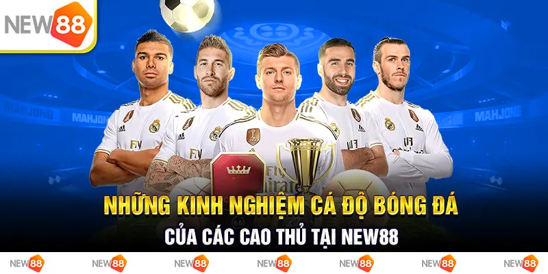 https://lecoqsportif.us.org/kinh-nghiem-ca-do-bong-da/