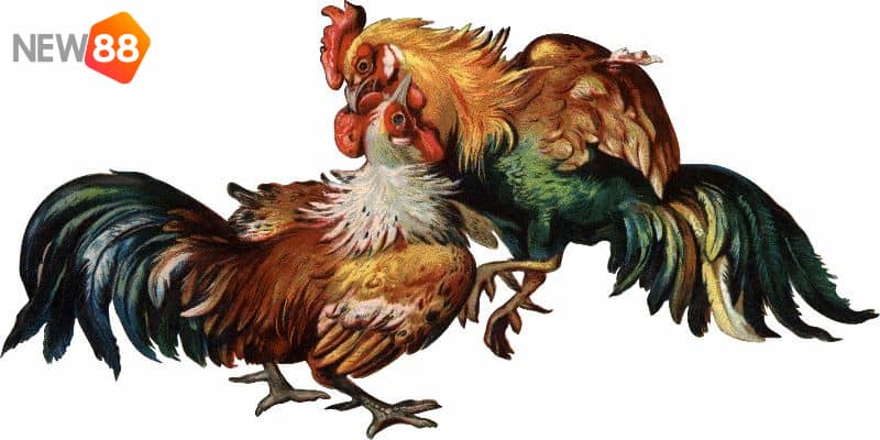 Cá cược vào bộ môn này giúp làm tăng kinh tế